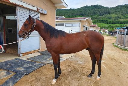 ���κ극��Ŀ ����