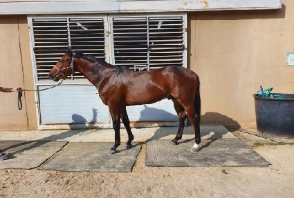 ��������� ����