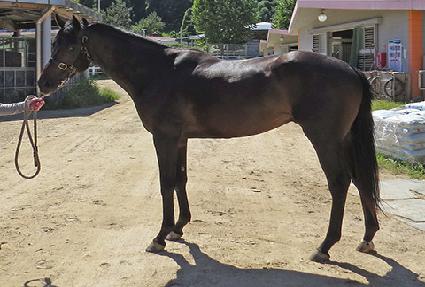 �ְ����� ����