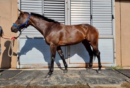 ����ǮƮ���� ����