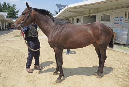 ��ũ�� ����