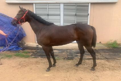 ���ӵ��� ����