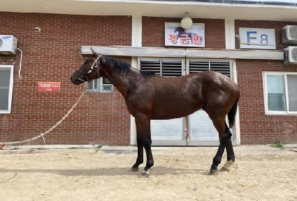 ������ ����