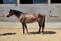 HAMYANGEUN SANSAM picture