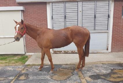 �λ�Ҹ� ����