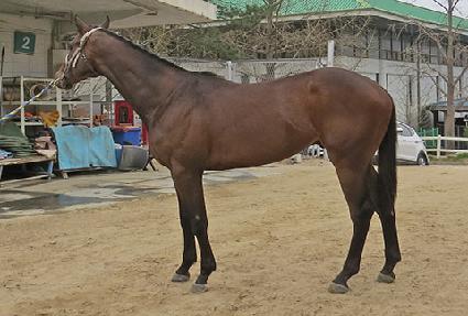 �������� ����