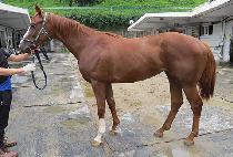 �帲���� (DREAM K) ����