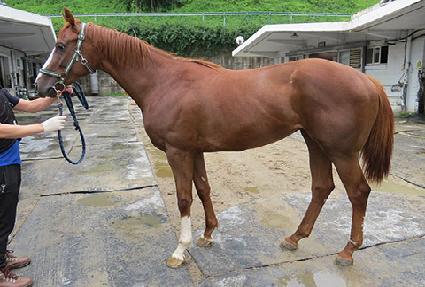 �帲���� ����