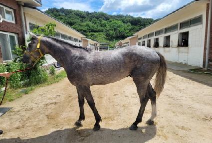 ���÷��� ����