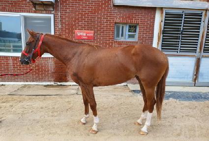 ��������Ÿ ����