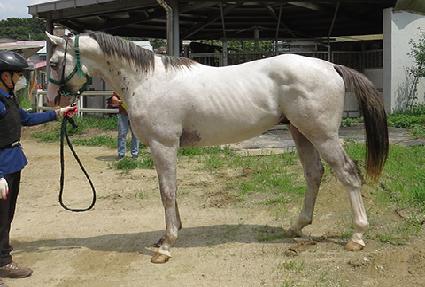 ���ÿ��̽� ����