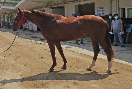 ���ǽ�ȭ ����