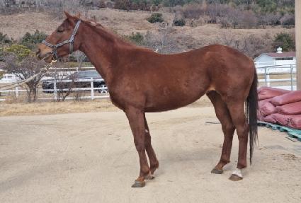 �������Ǯ ����