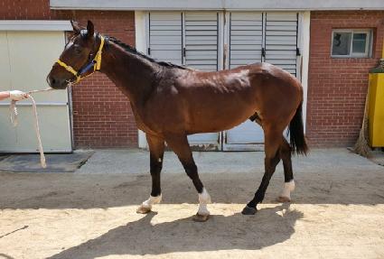 �����̸ƽ� ����