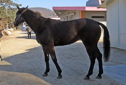 ���û�� ����