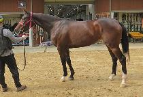 ���������� (MUJIGAE GONGJU) ����