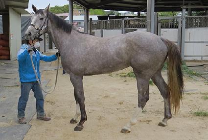 �ǹ���Ÿ ����