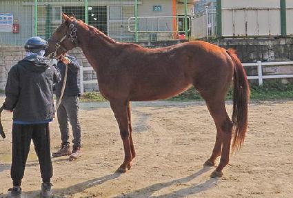 �ø��콺���� ����