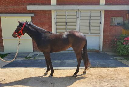 ���ǵ� ����