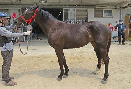 �������̺� ����