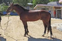 �ǰ���ô (GEONGONILCHEOK) ����