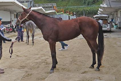 ��Ʈ��ġ ����