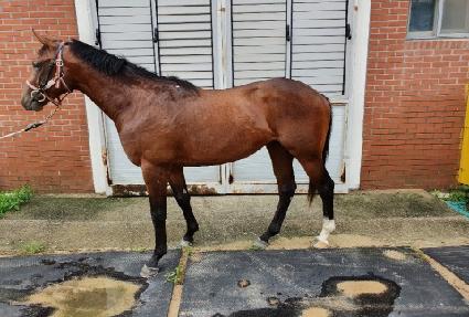 ��Ʈĳ�� ����