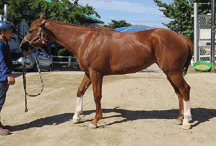 ���򱤾� ����