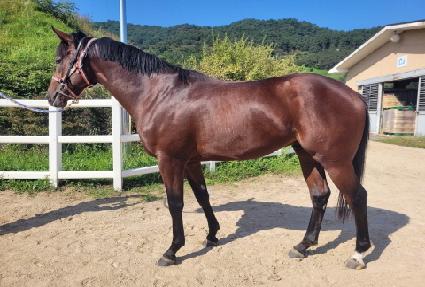 �Ƶ��ö��� ����