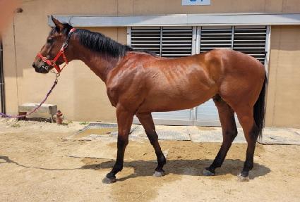 �Ƶ���� ����