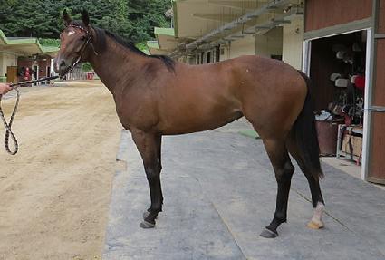 �ǿ������� ����