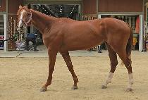 �Ͽ��ν�Ƽ (HAWON IN CITY) ����