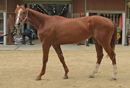 �Ͽ��ν�Ƽ ����