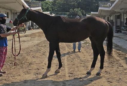 ���ÿ��� ����