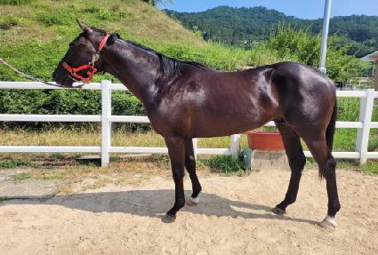 ��õ�ַ��̿� ����