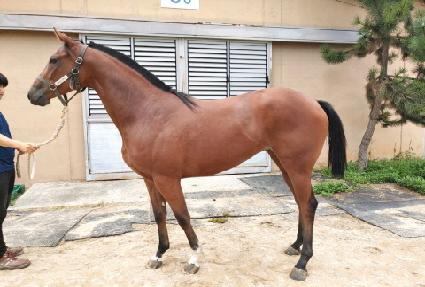 ���������� ����