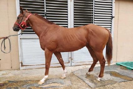 ��������Դ� ����