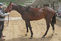 CHEONJI JIDAE picture