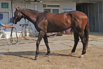 ����ũ�Ӵ� ����