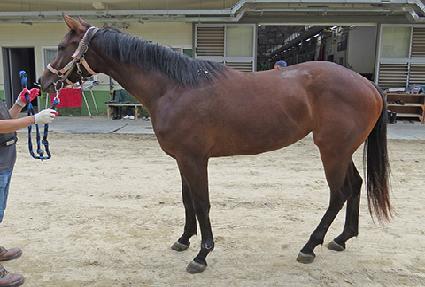 ����è�� ����