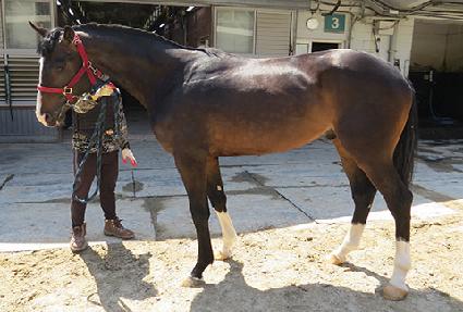 ���� ����