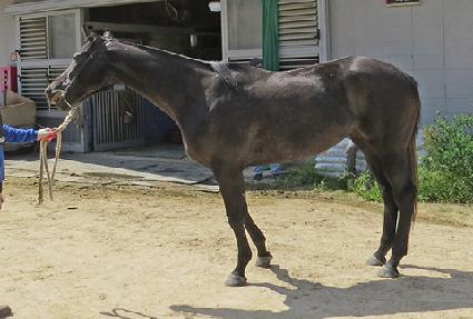 �糪�ǹ� ����