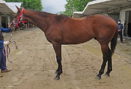 �޹��� ����