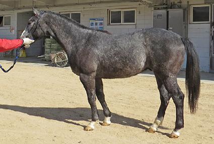 �����ึ ����