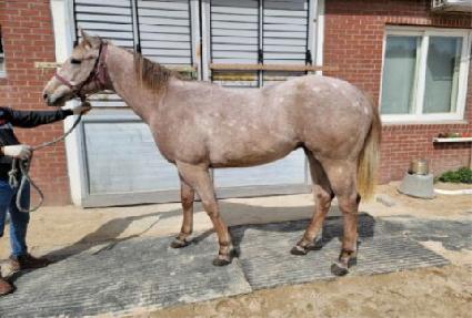 ������ ����