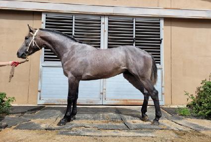 ����ĸƾ ����