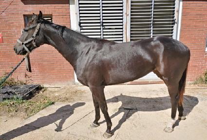 ��õ� ����