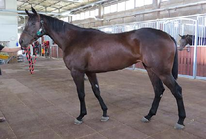 õ���� ����