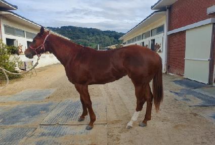 �۷ι����� ����