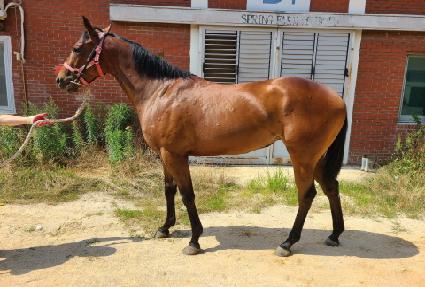 ���̵巡�� ����